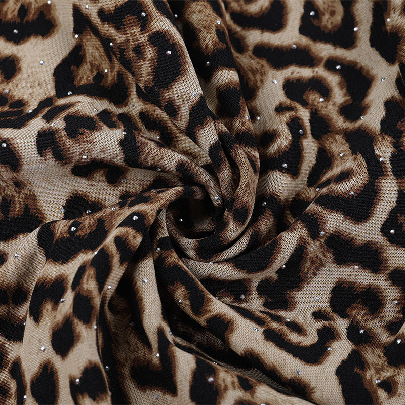 Leopard print lace hem v neck long sleeve self tie top | Festival Outfits Women | Cheetah Print Top