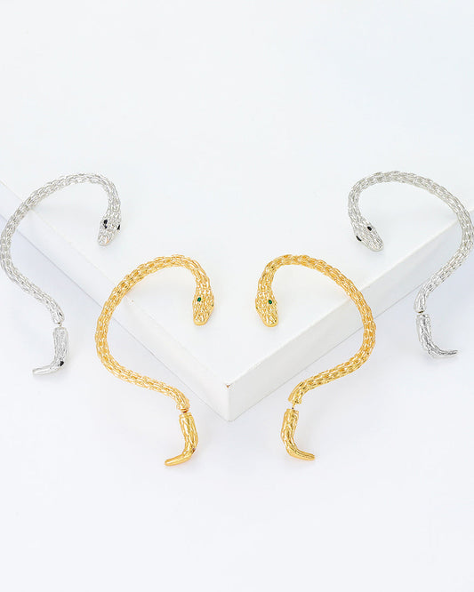 Punk Retro Wrapped Ear Hook Snake Shaped Earrings