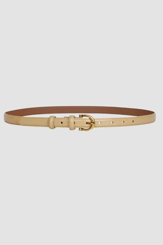 CiCi Arrows in the Dark Belt