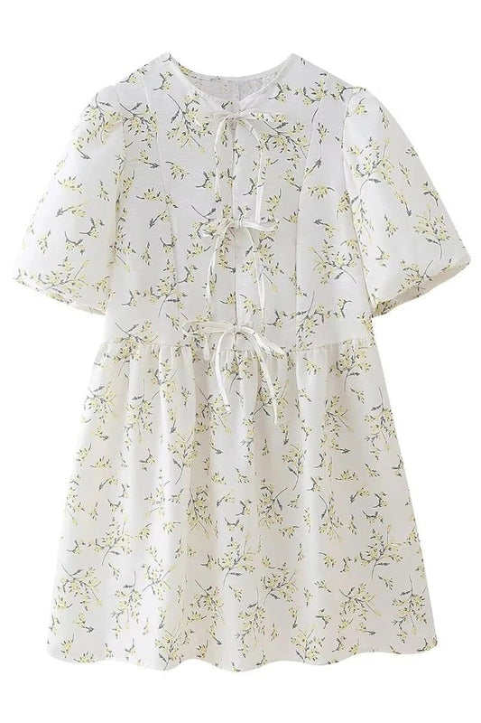 Puff Sleeve Tie Up Hollow Neck A-Line Mini Dress