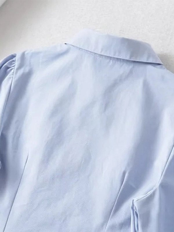 Pleated Button Down Long Sleeve Blouse