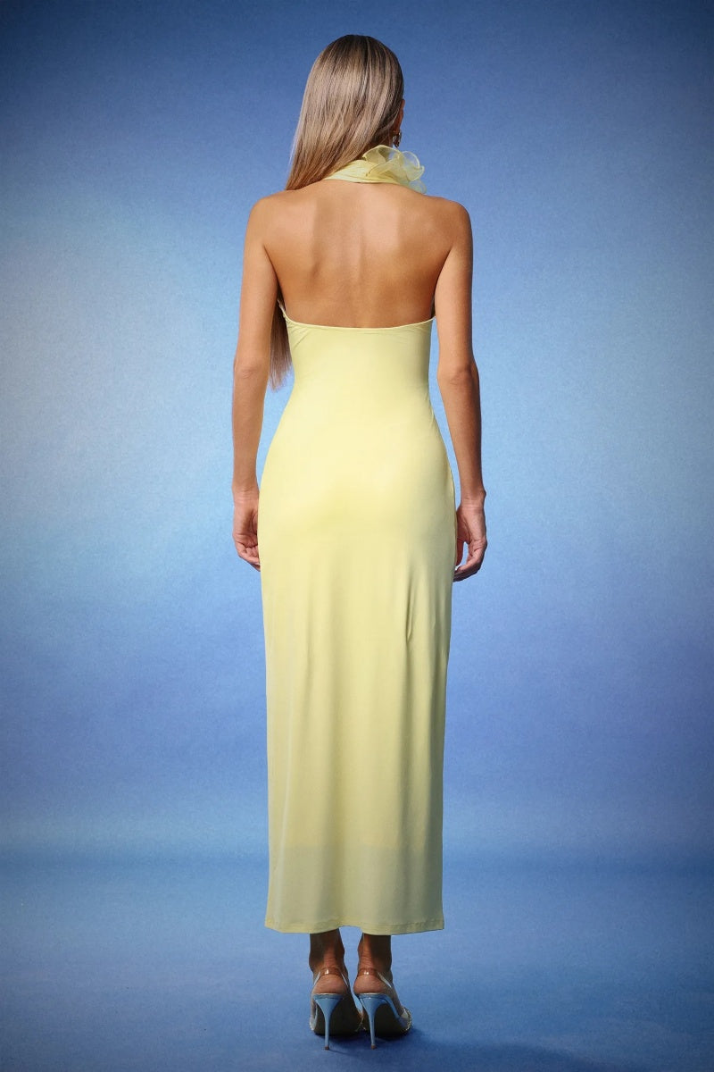 Vestido largo maxi con cuello halter