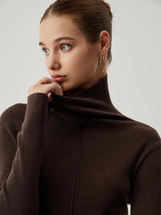 Solid Turtleneck Long Trendy Sleeve Knit Top