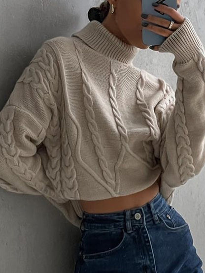 Solid Cable Knit High Neck Sweater