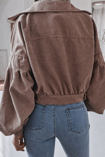 Prendas de abrigo casuales de moda con cuello vuelto liso