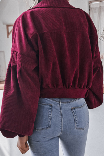 Prendas de abrigo casuales de moda con cuello vuelto liso
