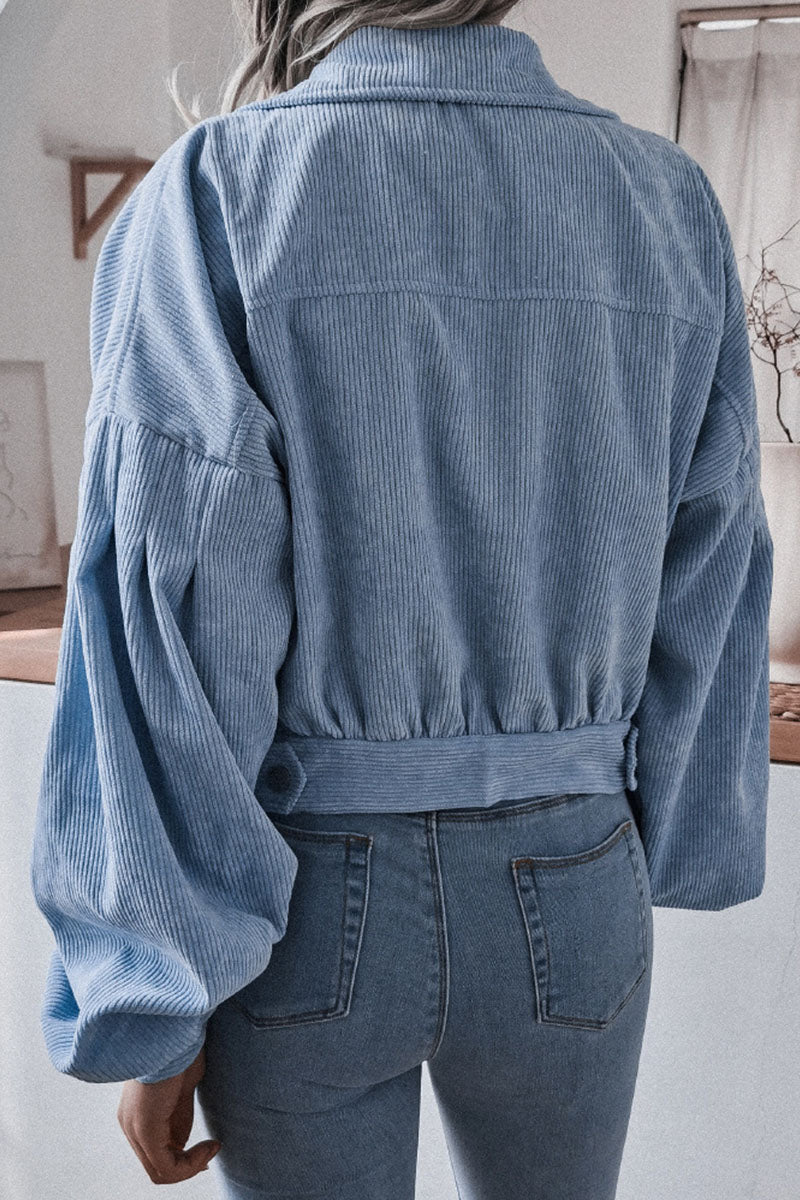 Prendas de abrigo casuales de moda con cuello vuelto liso