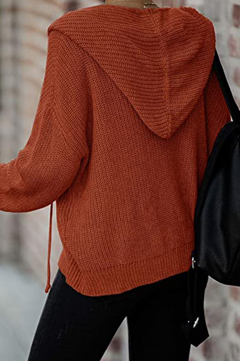 Suéteres casuales de color sólido con cremallera y cuello con capucha (5 colores)