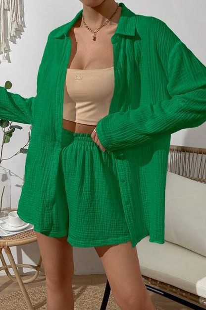 Casual Simplicity Solid Fold Turndown Collar Long Sleeve Two Pieces