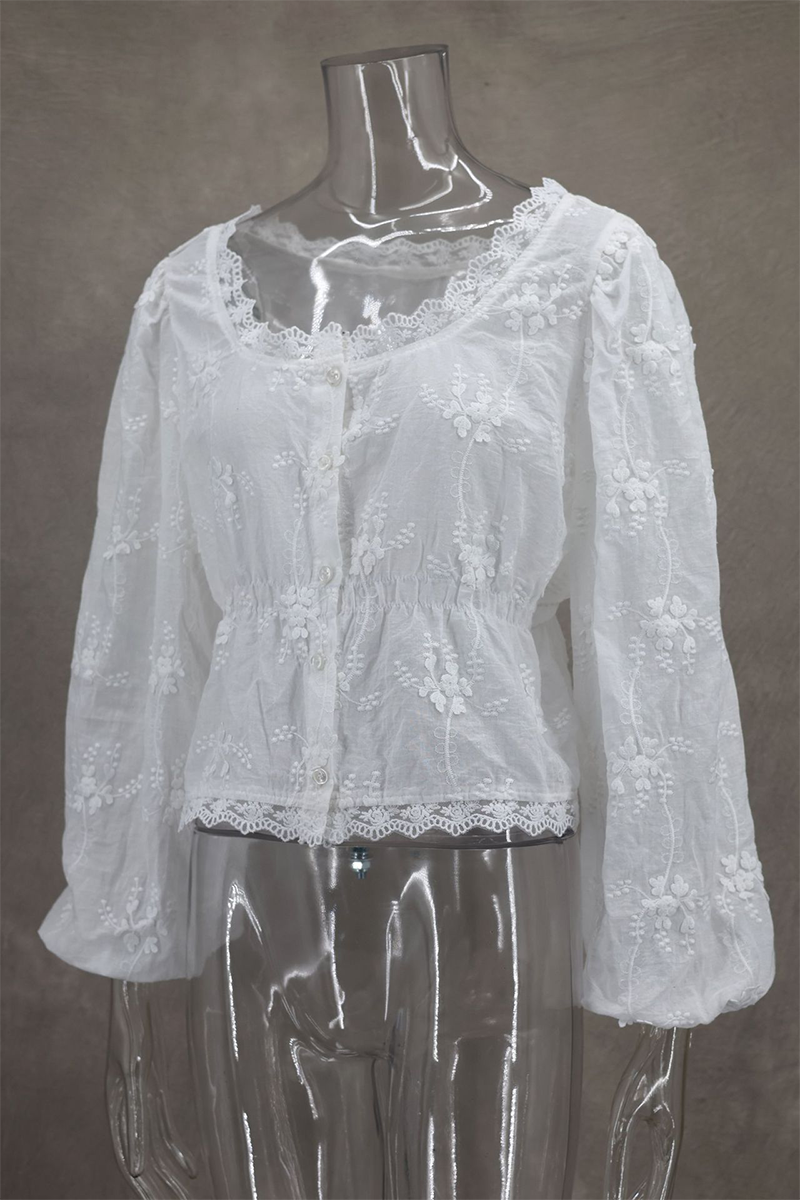 Sexy Daily Embroidered Buttons See-Through U Neck Blouses