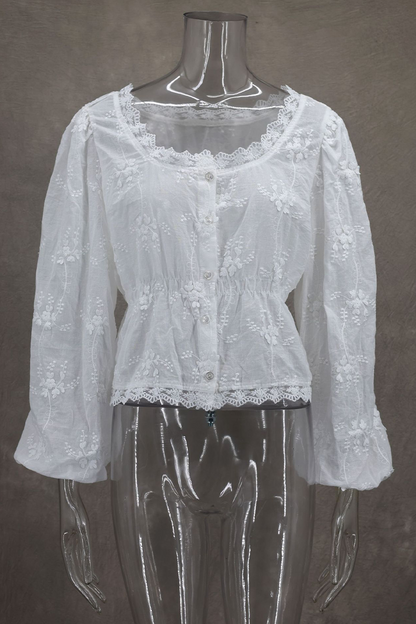 Sexy Daily Embroidered Buttons See-Through U Neck Blouses