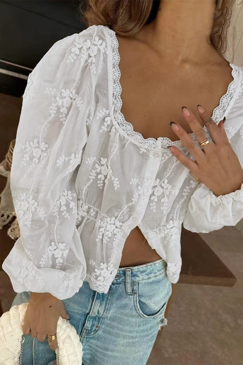 Sexy Daily Embroidered Buttons See-Through U Neck Blouses