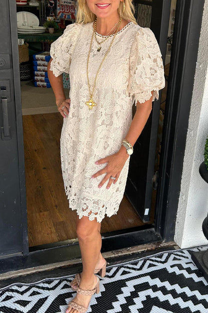 Casual Lace O Neck Short Sleeve Dresses(7 Colors)