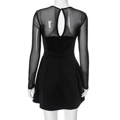 Long sleeve mesh patchwork button mini dress  | Festival Outfits Women