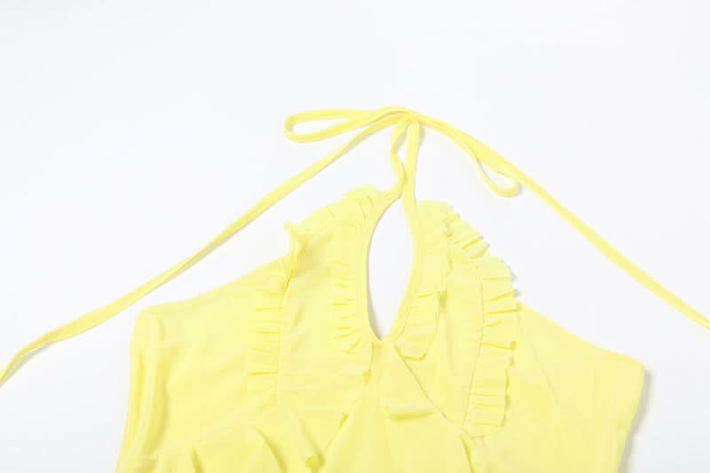 Halter ruffle mesh backless top  | Festival Outfits Women