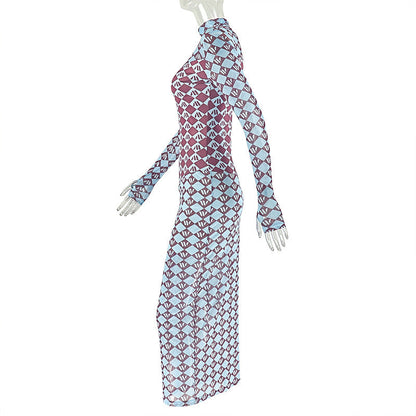 High neck long sleeve mesh print maxi dress  | Festival Outfits Women