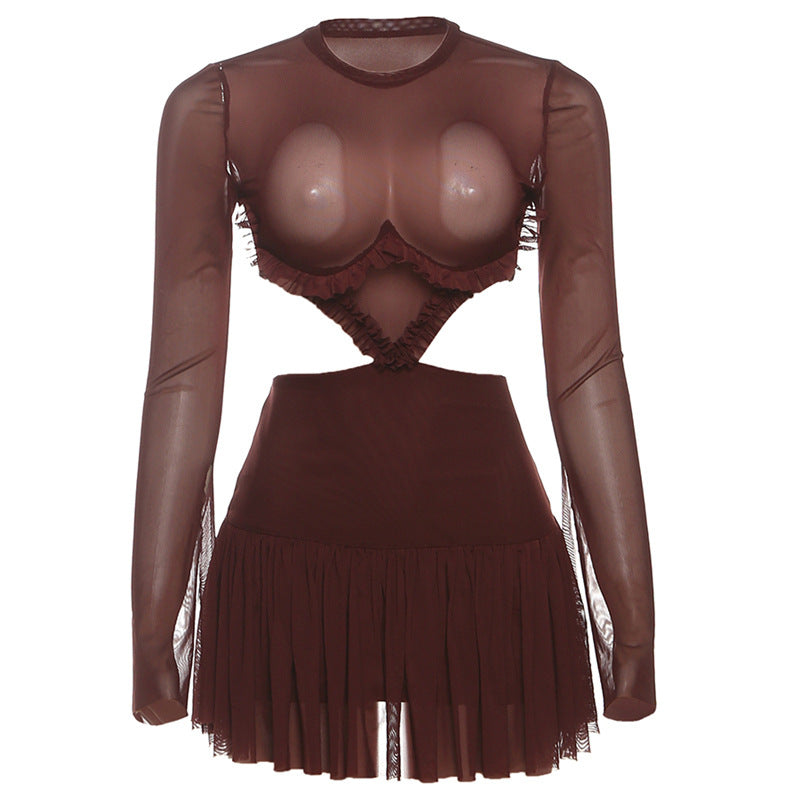 Crewneck long sleeve mesh ruched mini dress  | Festival Outfits Women