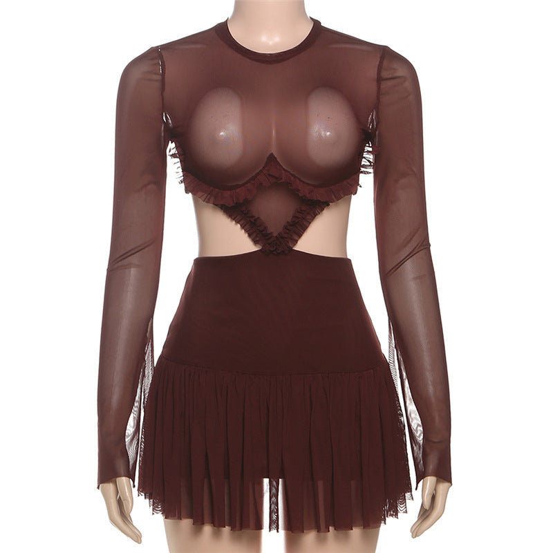 Crewneck long sleeve mesh ruched mini dress  | Festival Outfits Women