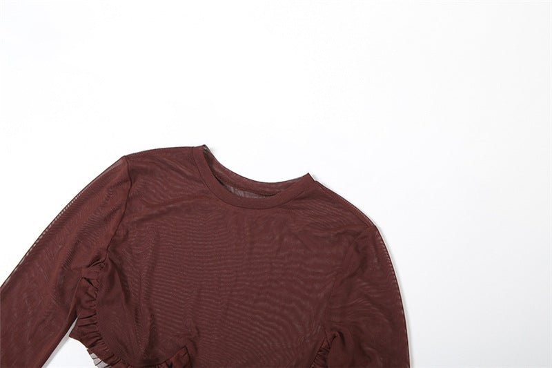 Crewneck long sleeve mesh ruched mini dress  | Festival Outfits Women