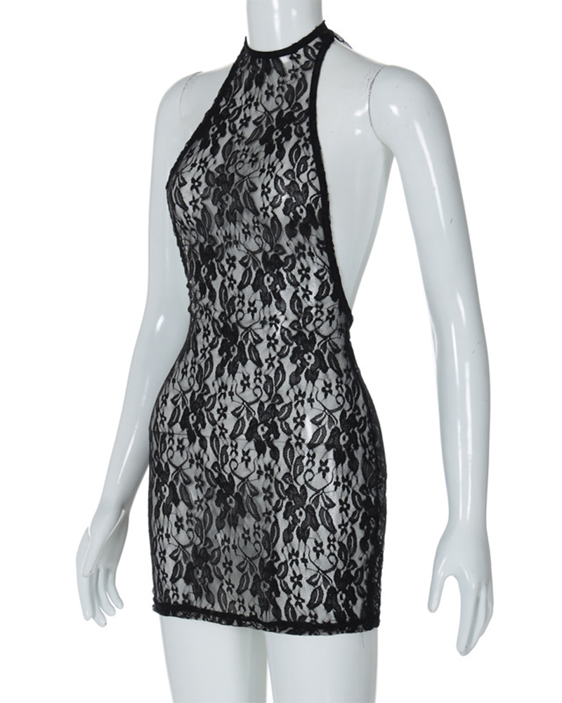 Lace Hip-Hugging Slim Dress