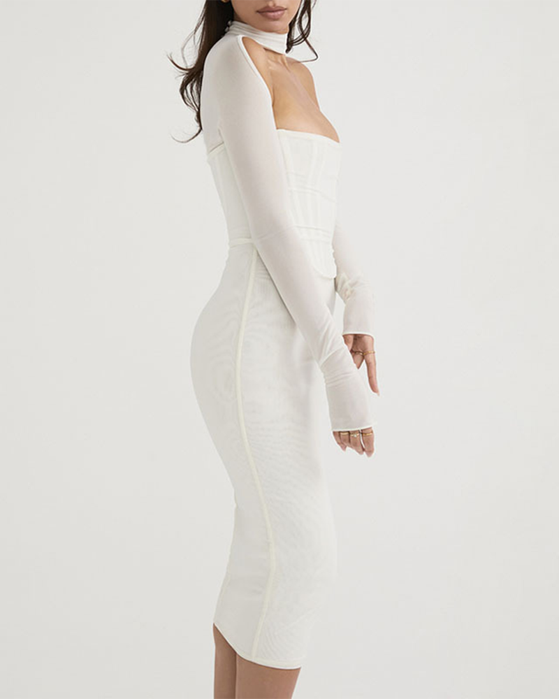 Sexy Mesh Long Sleeve Dress