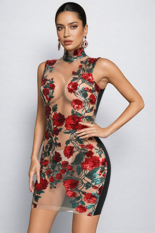 Isla Sequin Mesh Mini Dress