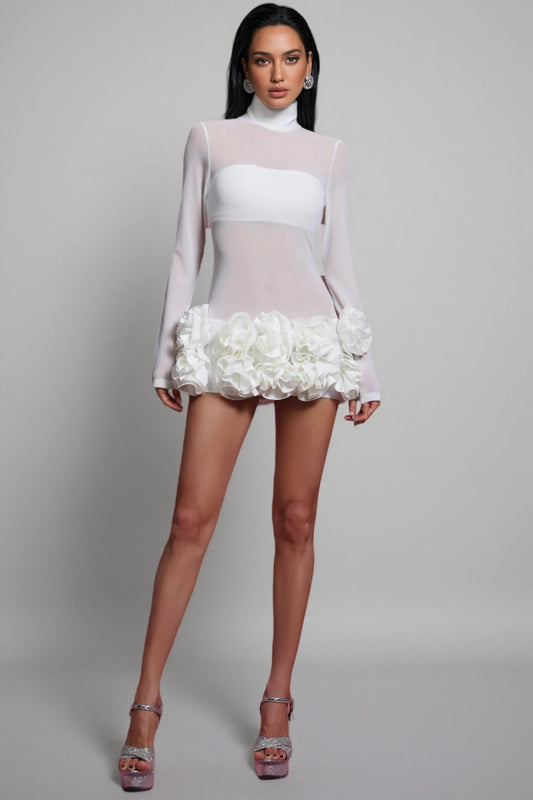 Willia Long Sleeve Flowers Mini Dress