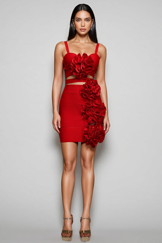 Serela Hollow Out Flowers Bandage Mini Dress