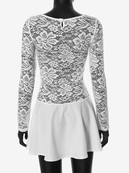 Lace Overlay A-line Dress Sheer Long Sleeve Mini Party Dress For Women 2026