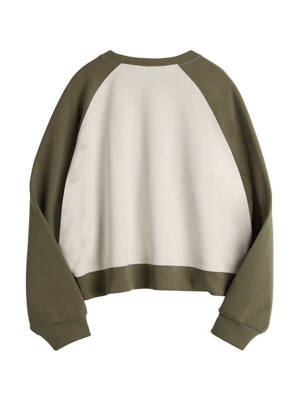 Letter Print Color Block Splice Raglan Oversized Hoodie