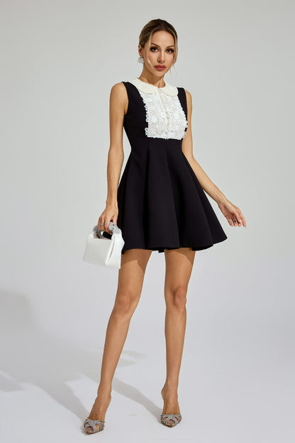 Gavin Black Lace Sleeveless Mini Dress