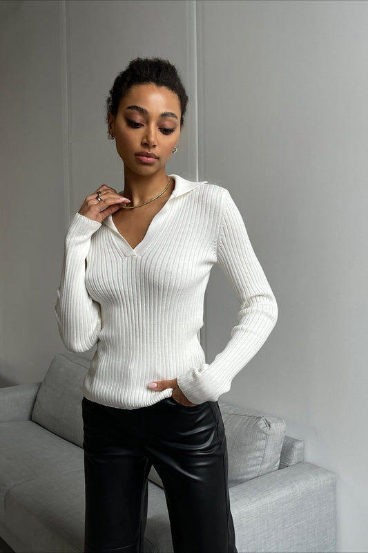 Slim Fit Polo Knit Sweater