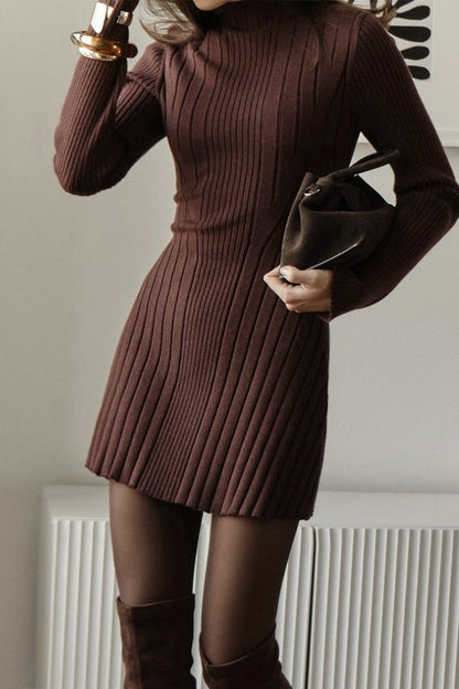 Elegant Playful Knit Mock Neck Long Sleeve A Line Mini Dress