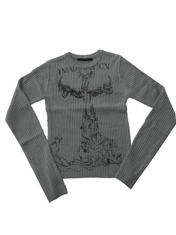Rib Raglan Retro Swan Print Crew Neck Long Sleeve T-shirt