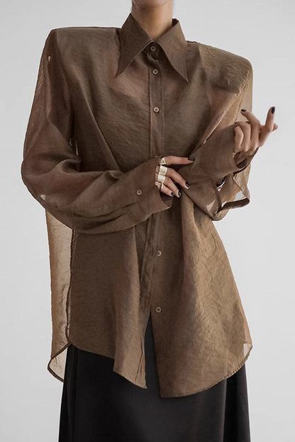 Elegant Sheer Long Sleeve Blouse
