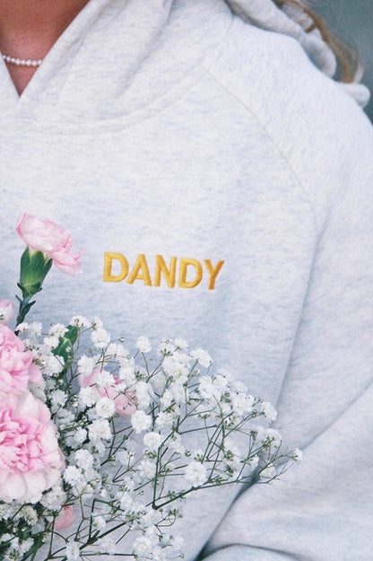 Pullover Embroidered Hoodies