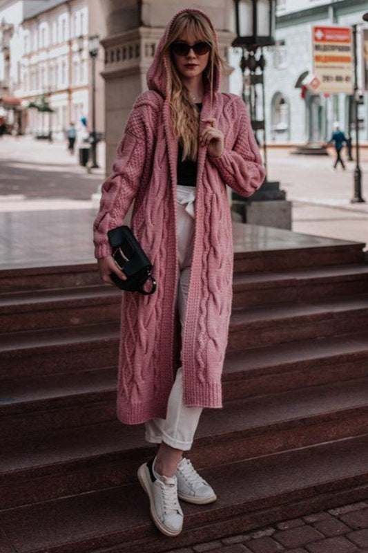 Solid Color Hooded Knit Sweater