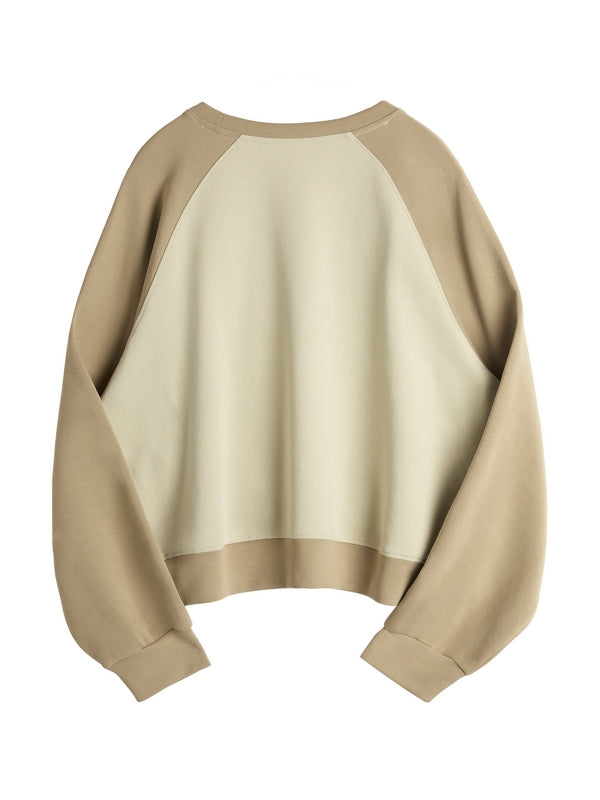 Letter Print Color Block Splice Raglan Oversized Hoodie