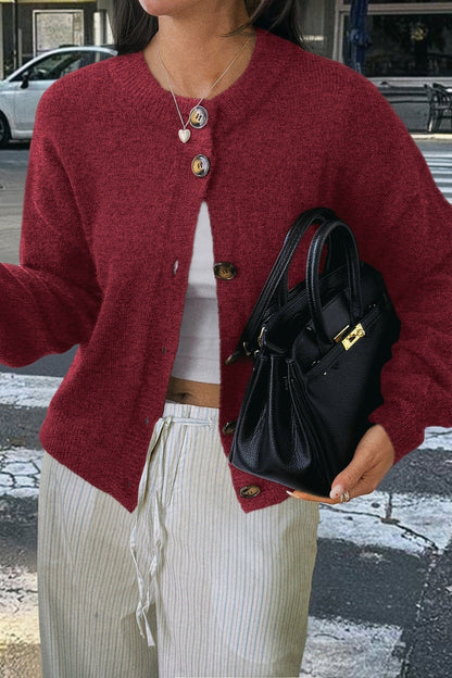 Casual Minimalist Button Front Long Sleeve Coat