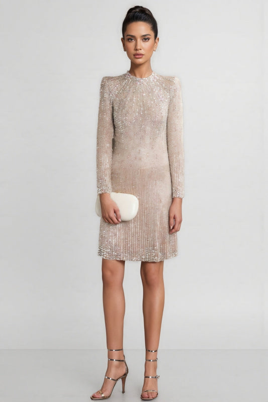 Eclipsk Crystal Crunch Paris Mini Dress