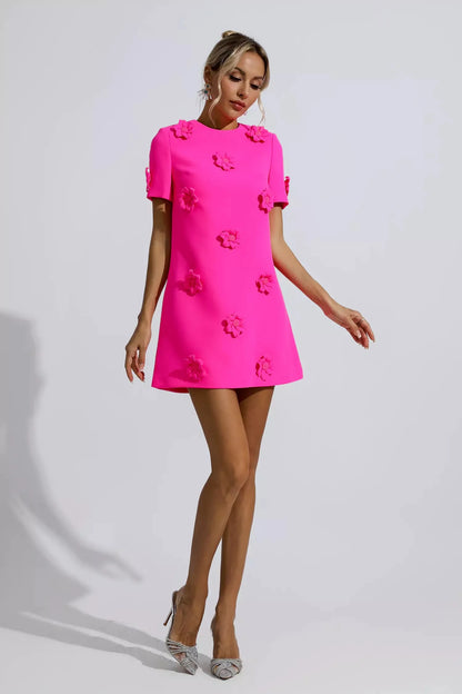 Alexa Mini Dress