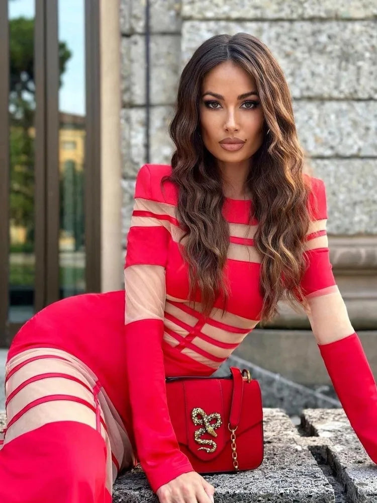 Elegant Long Sleeve Mesh Patchwork Bodycon Party Evening Dress Women Elastic Tight Autumn/Winter New 2025 Vestido Female