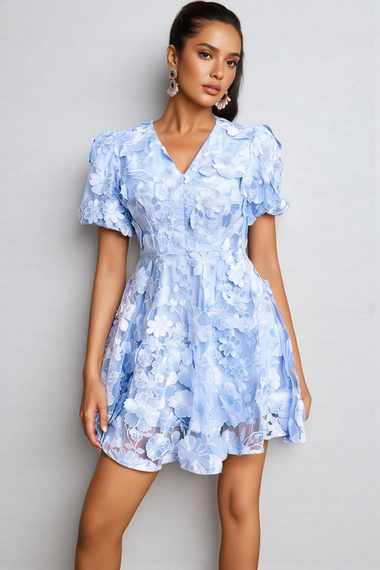 Tarynl V Neck Flower Embroidered Mini Dress