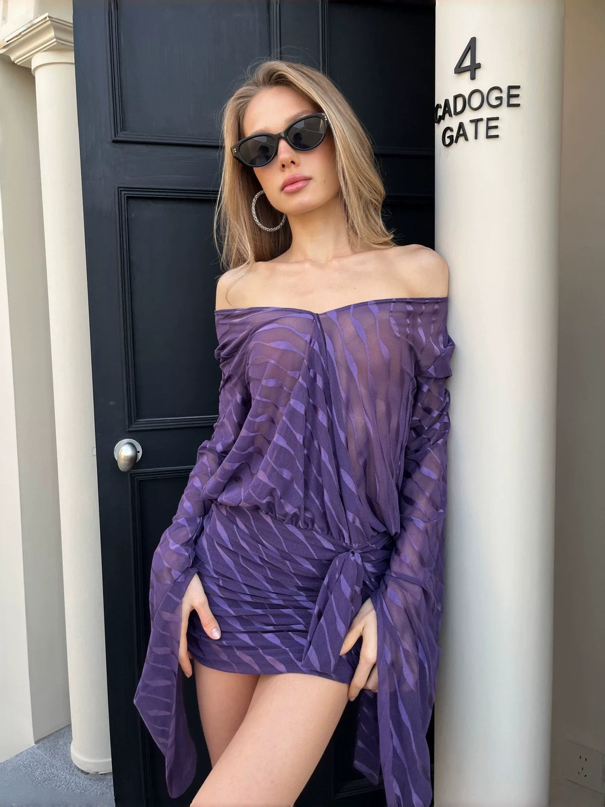 Haylee Sheer Mesh Backless Mini Dress