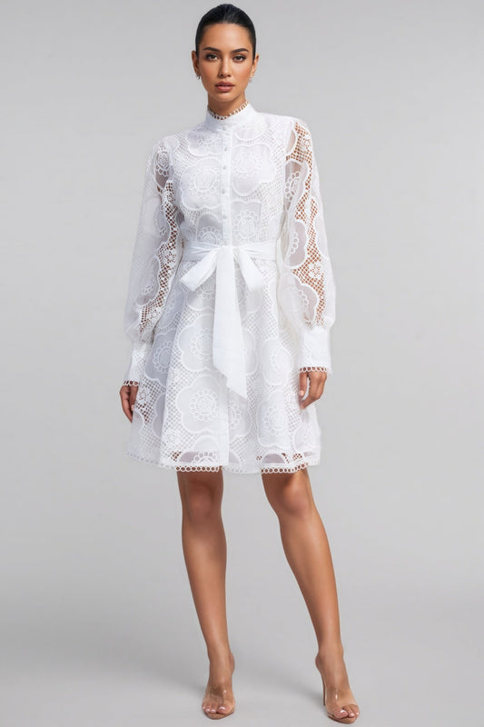 Joanna Floral Lace Lantern Sleeve Mini Dress