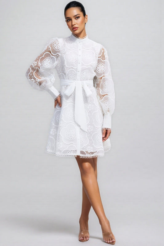 Joanna Floral Lace Lantern Sleeve Mini Dress