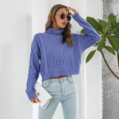 Knit Turtleneck Short Sweater Women Loose Autumn Winter Long Sleeve Sweater Sweater