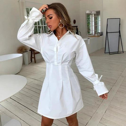Autumn Winter Women Long Sleeved Sexy Deep V Plunge Shirt Best Dress