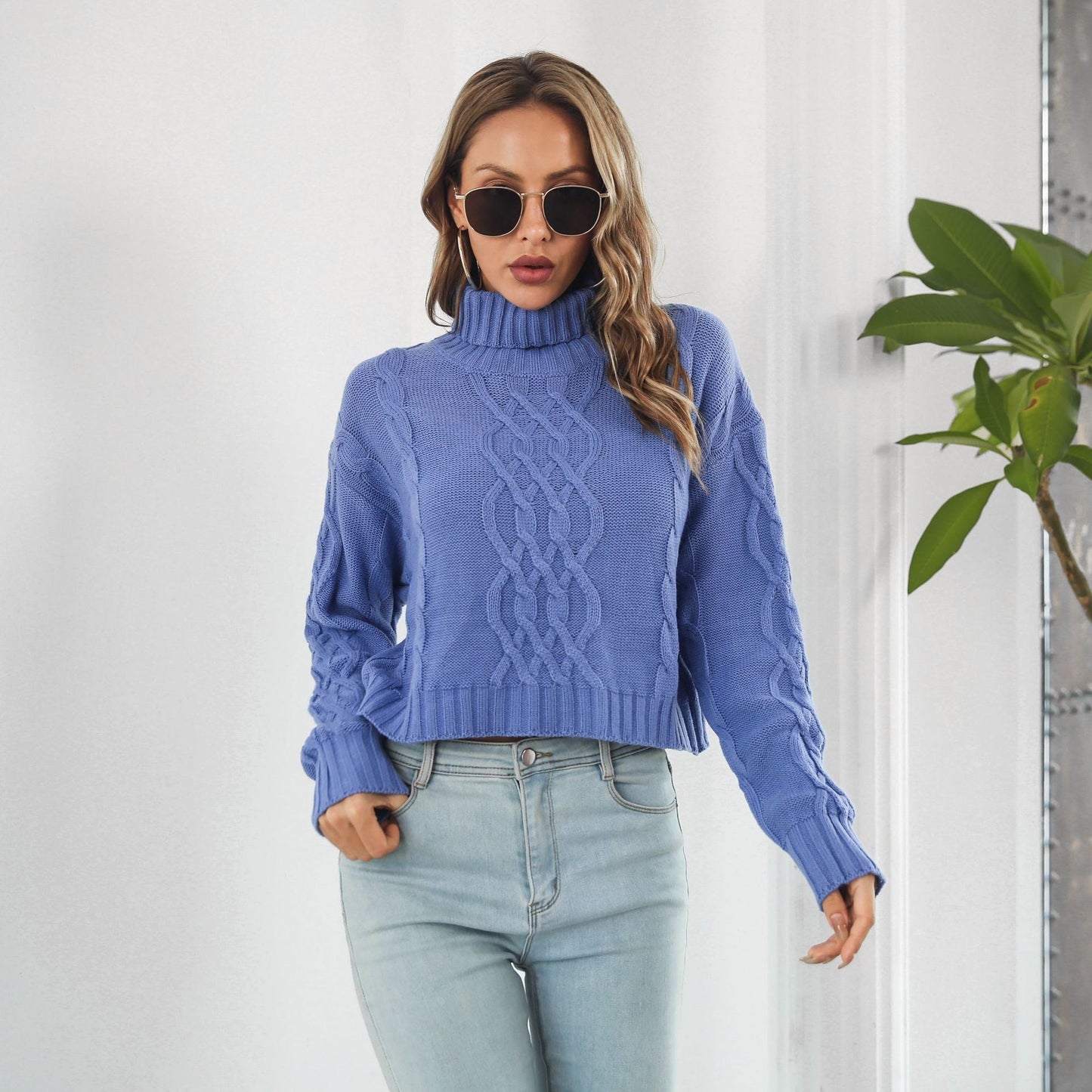 Knit Turtleneck Short Sweater Women Loose Autumn Winter Long Sleeve Sweater Sweater