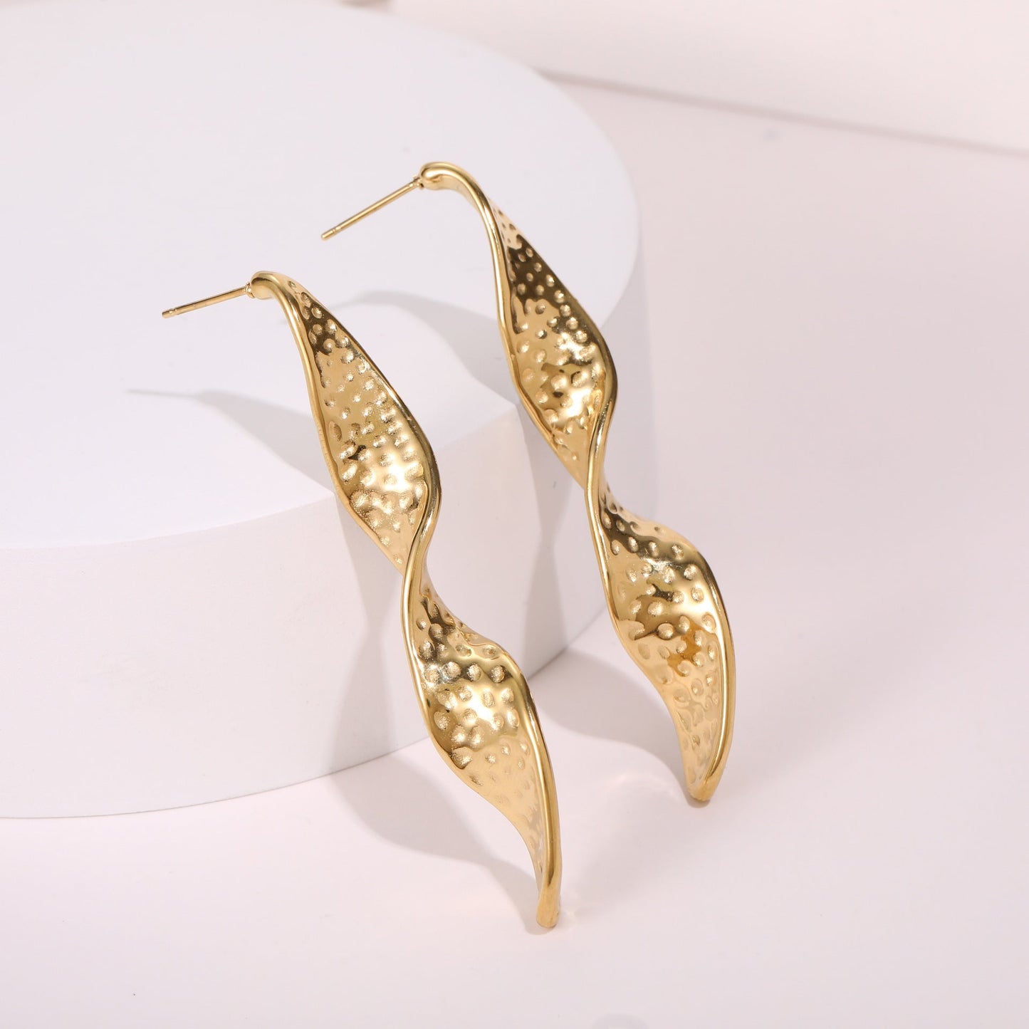Modern Twist Design Stainless Earrings